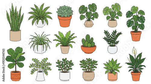 Collection of various potted plants and succulents in different pots