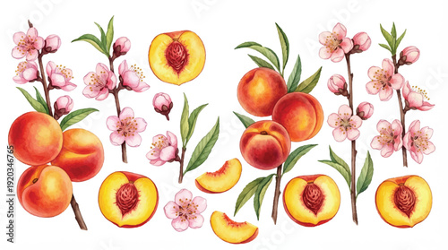 Peaches and pink flowers on branches with green leaves and sliced peaches