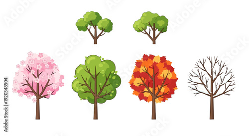 Seasons Tree Collection: Spring Blossom, Summer Green, Autumn Fall, Winter Bare