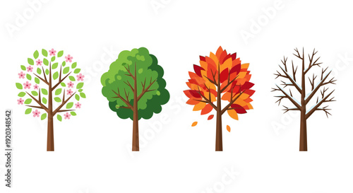Four Seasons Trees: Spring, Summer, Autumn, Winter Cycle