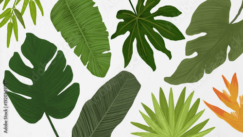 Lush botanical illustration featuring various exotic tropical leaves on white
