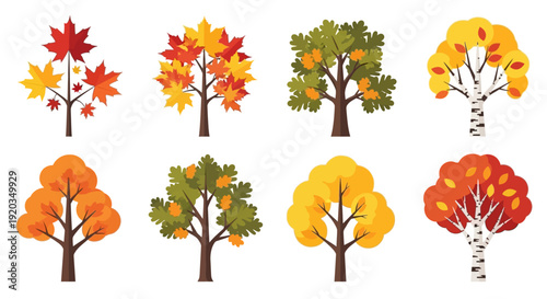 Autumn Trees Collection: Vibrant Fall Foliage in Various Styles