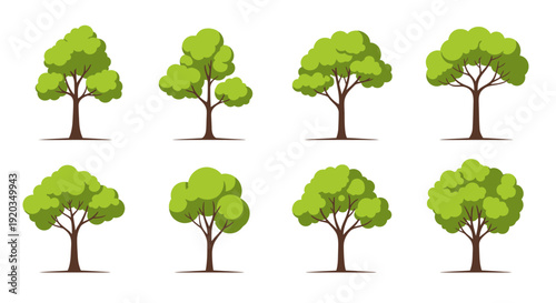 Collection of diverse green trees with lush foliage, isolated on white background.