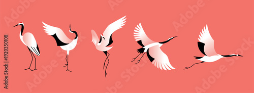 Crane bird set in japanese culture, red gradient clip art with elegant poses and flying silhouettes. Oriental travel decoration for poster, banner, social media, invitation, greeting card and print.
