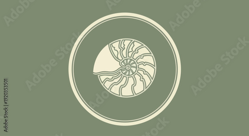 Nautilus Shell Fossil Icon Graphic Design