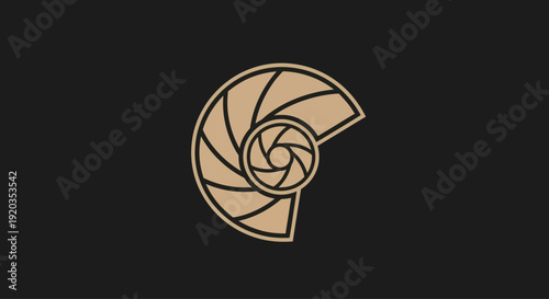 Nautilus Shell Spiral Abstract Design