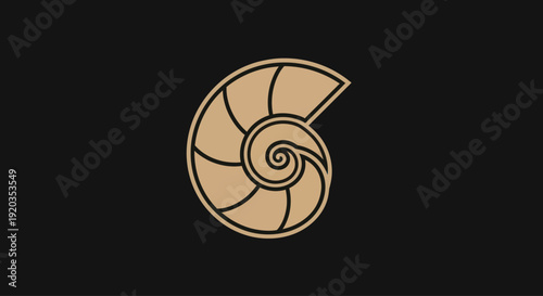 Nautilus Shell Spiral Abstract Geometric Design