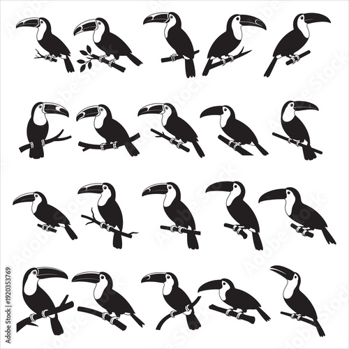 Toucan Birds Clip Art