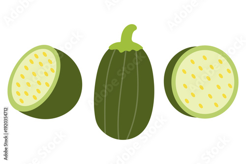 Zucchini Whole and Slices Vegetable Illustration