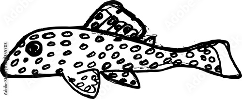 Hand drawn ink sketch of a spotted Brazilian Pleco catfish isolated on white background. Minimalist vector illustration of an Amazonian Cascudo fish in rustic graphic style.