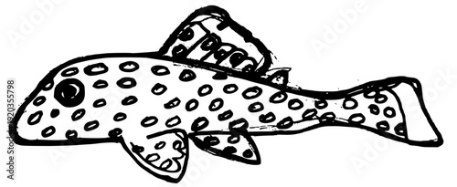 Hand drawn ink sketch of a spotted Brazilian Pleco catfish isolated on white background. Minimalist vector illustration of an Amazonian Cascudo fish in rustic graphic style.