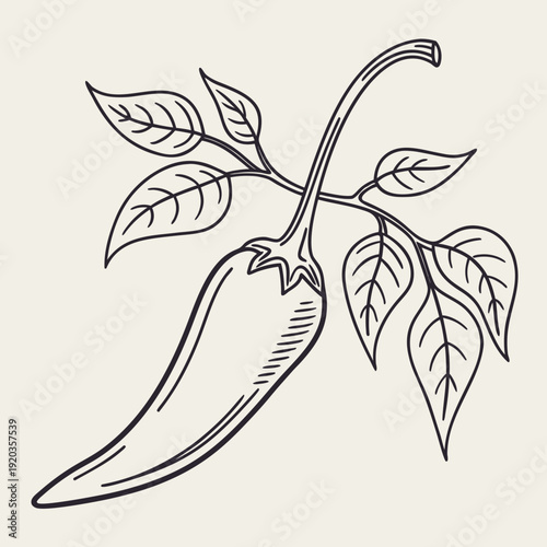 Spicy Chili Pepper on Branch - Hot Food Ingredient