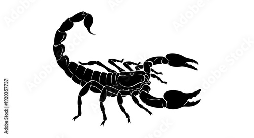 A striking black silhouette of a scorpion displaying its segmented body and curved tail high quality