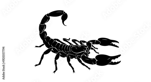 A striking black silhouette of a scorpion with its tail curved over its body high quality
