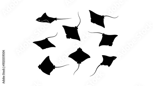 Collection of black silhouettes of various stingrays on a white background, showcasing diverse poses and aquatic grace