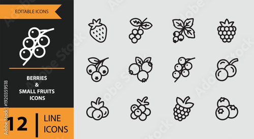 Healthy Berries and Small Fruits Outline Icon Collection for Grocery Branding