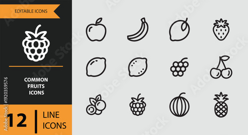 Everyday Common Fruits Outline Icon Pack for Organic Food and Apps