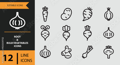 Root and Bulb Vegetables Outline Icons for Organic Grocery Projects