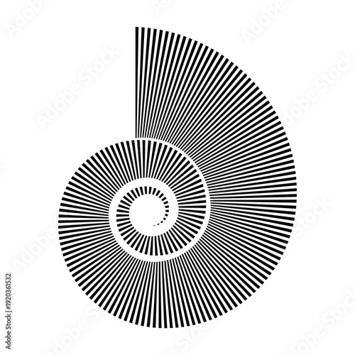 Logarithmic spiral black stripe, nautilus spiral shell contour curve Fibonacci