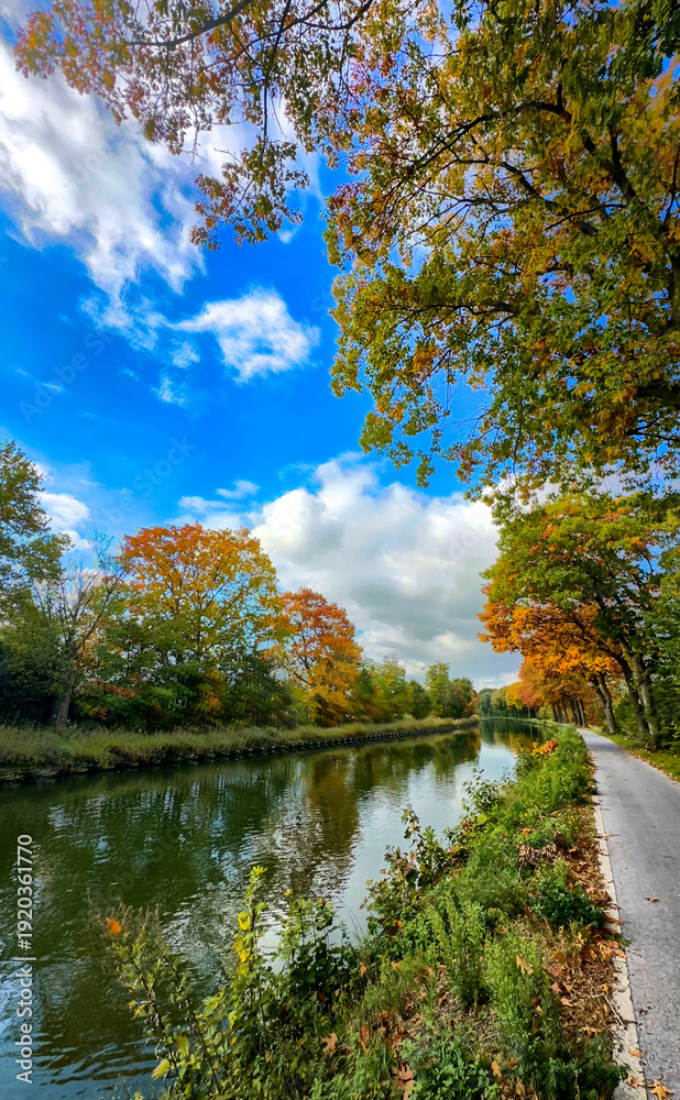 Obraz premium Vivid canal promenade under bright blue sky with vibrant autumn trees and crisp reflections, paved walkway beside water, benches