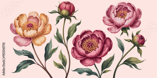 Beautiful bouquet of pink and white tulips featuring spring blossom flowers and green leaf accents in a vintage floral design for a nature wallpaper