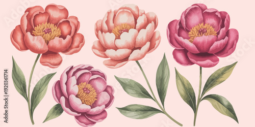 A beautiful nature background featuring a spring bouquet of pink and white tulips with green leaves and flower buds in a vintage floral garden blossom