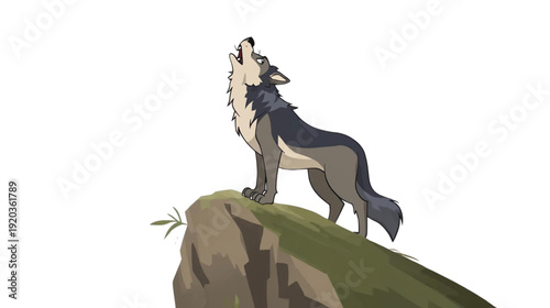 the wolf roaring on the cliff
