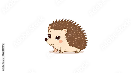 cute little hedgehog