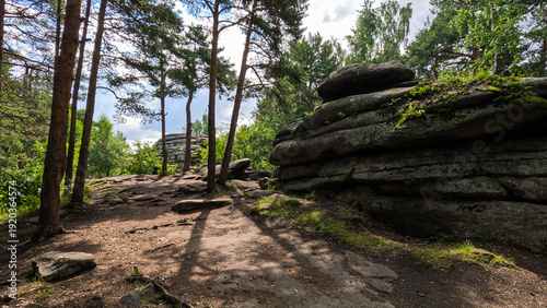 Photos Trees growing on rocky ground