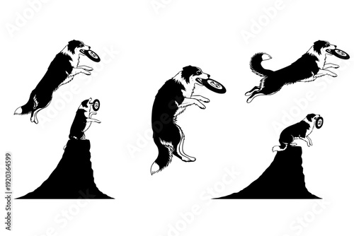 Australian Shepherd Dog Backflip Frisbee Catch Silhouette Vector for Professional Canine Disc Competition
