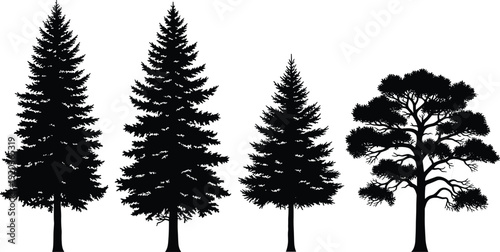 Black silhouette vector illustration set of coniferous pine and fir trees, evergreen spruce timber elements, mountain forest nature landscape icons,
