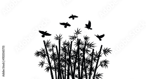 Silhouette of birds flying above a bamboo grove against a white background