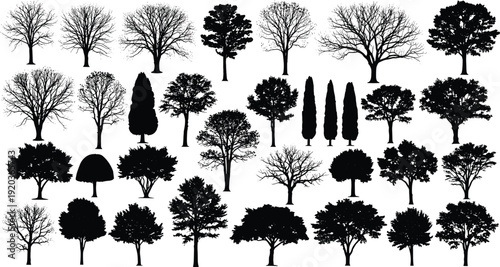 Black silhouette vector illustration set of deciduous and evergreen trees, forest nature landscape elements, botanical garden design icons, outdoor environment,