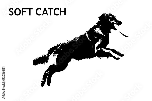 Golden Retriever Dog Catching Frisbee Silhouette Vector for Family Pet Fun and Friendly Canine Activity