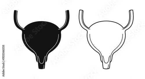 Uterus illustrations a black solid version and a white outlined depiction