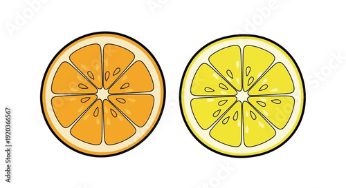 Two citrus fruit halves an orange and a lemon displayed side by side