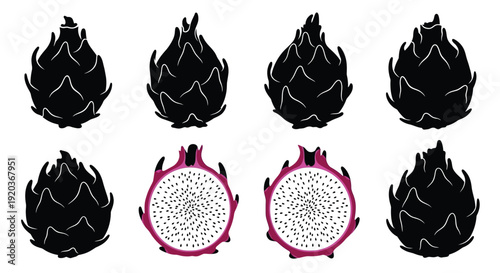 Dragon fruit illustrations whole and cross section views black and pink