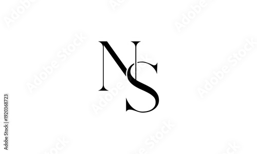 NS initial letter logo or NS monogram