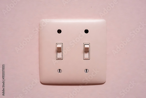 Light switch double wall plate with two rocker switches on soft pink wall, modern home electricity control panel close-up, minimal interior utility fixture