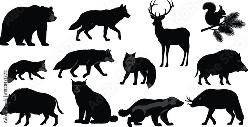 Black silhouettes of various wild animals on white background bear wolf deer squirrel