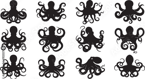 Black octopus silhouettes on a white background illustration set