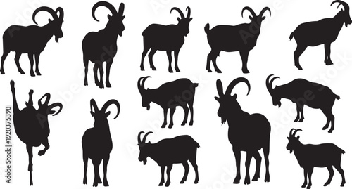 Collection of black goat silhouettes on white background various poses