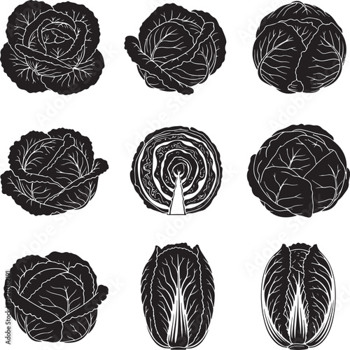 Cabbage vector icon set. Includes various cabbage heads, leaves, and cut views. Created in line style with black and white palette.