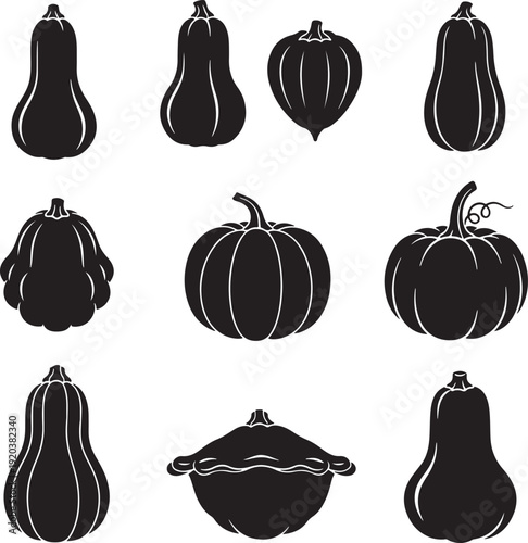 Autumn squash and pumpkin vector icon collection. Includes various gourds, pumpkins, and squash. Created in minimalist black style with white outlines.