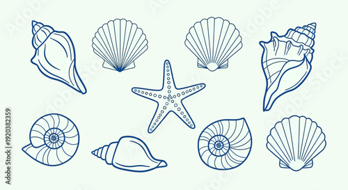 Collection of seashells and starfish illustrations in blue outline.