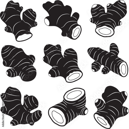Ginger root icon collection. Includes nine ginger roots in different orientations. Created in black and white line art style.