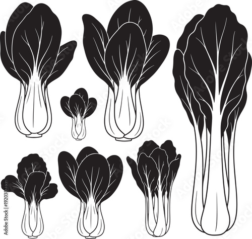Bok choy vegetable icon set. Includes six black and white illustrations of leafy greens. Created in simple line style with monochromatic palette.