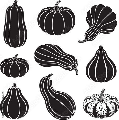 Autumn harvest squash and pumpkin vector icon set. Includes various gourds, pumpkins, and squash illustrations. Created in black and white line art style.
