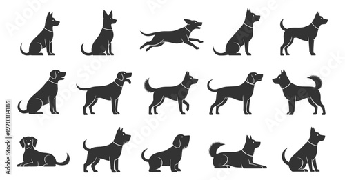 Animal dog silhouette