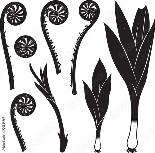 Botanical fern icon collection. Includes fern leaf, frond, and sprout illustrations. Created in black silhouette style with white accents.